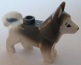 Husky kutya