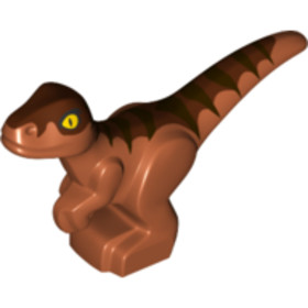 Sötét Narancssárga Raptor Bébi