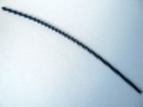 Sötétkék Tömlő 3mm D. 25L / 20.0cm 85526 - 75c2563 - 75c25