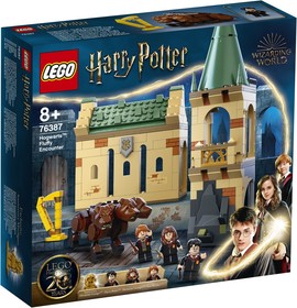 LEGO® Harry Potter™ 76387 - Roxfort™: Találkozás Bolyhoskával