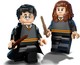 LEGO® Harry Potter™ 76393 - Harry Potter™ és Hermione Granger™