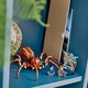 LEGO® Harry Potter™ 76434 - Aragog A Tiltott Rengetegben™