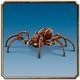 LEGO® Harry Potter™ 76434 - Aragog A Tiltott Rengetegben™
