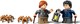 LEGO® Harry Potter™ 76434 - Aragog A Tiltott Rengetegben™