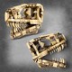 LEGO® Jurassic World 76964 - Dinoszaurusz maradványok: T-Rex koponya