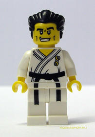 A karate mester (kieg.nélkül)