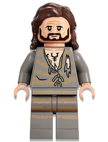 Sirius Black - Harry Potter