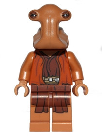 Ithori Jedi Mester