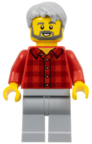 Male, Red Flannel Shirt, Light Bluish Gray Legs, Light Bluish Gray Hair, Dark Bluish Gray Beard