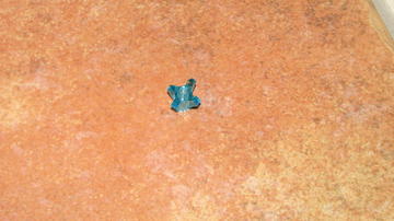 A chimai csata