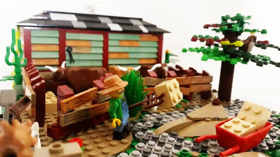 Farm