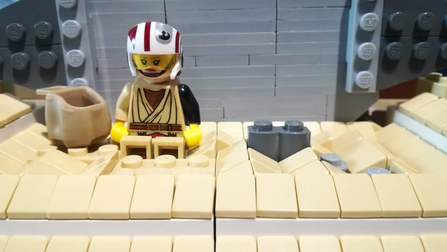 Rey otthona