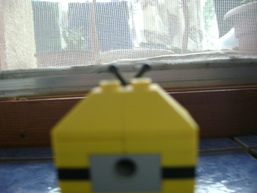 Minion