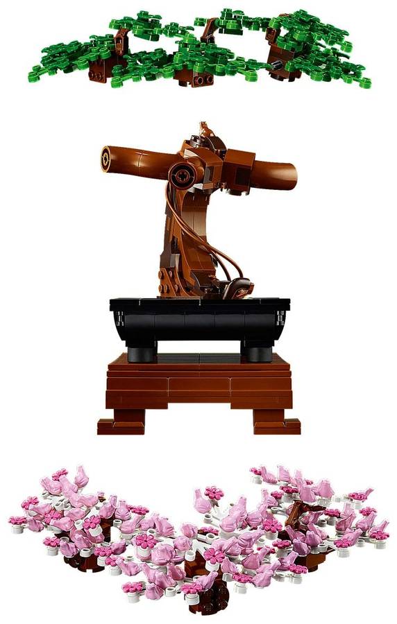 Bonsai fa