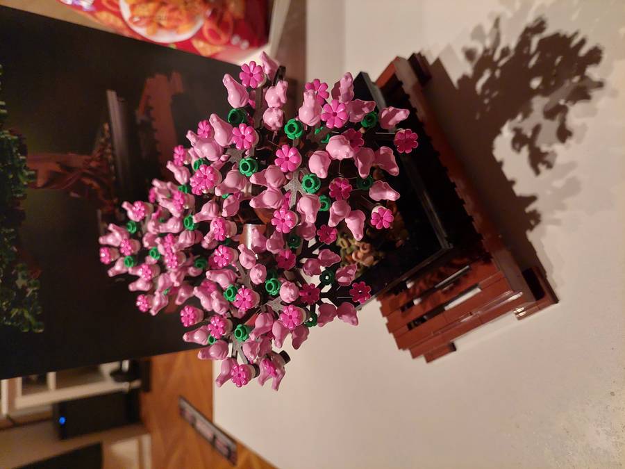 Bonsai fa