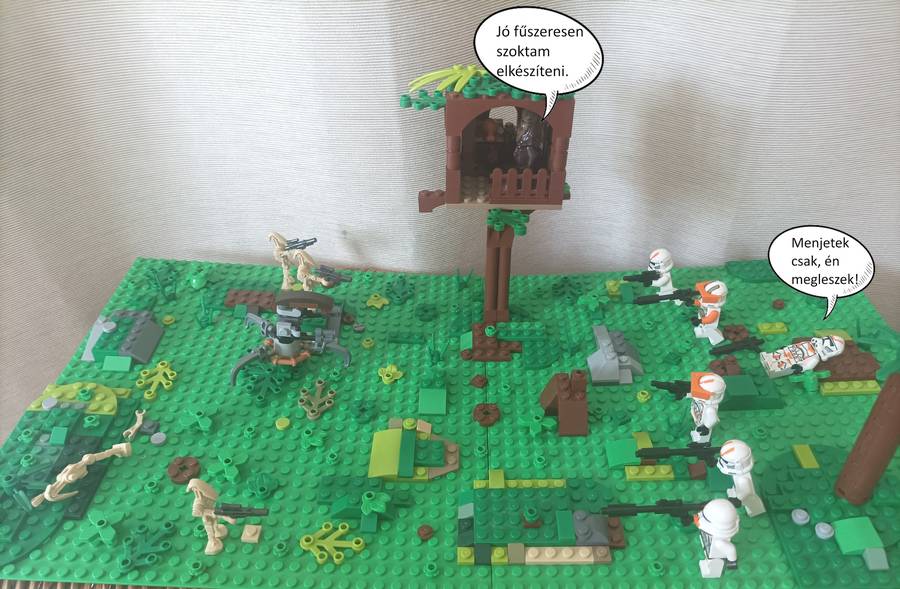 Harc a Kashyyyk bolygón