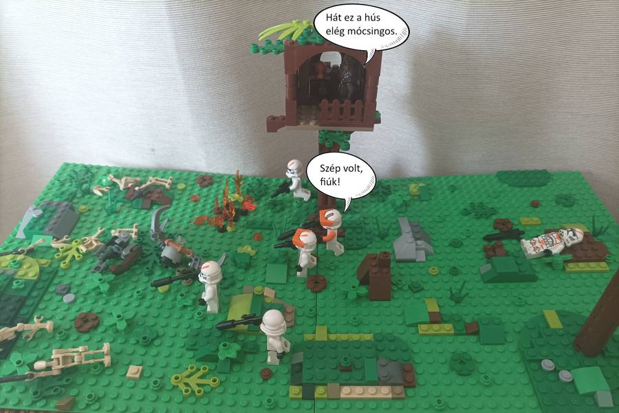 Harc a Kashyyyk bolygón