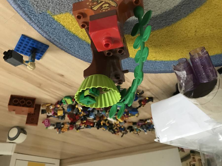 MiniMoc10 DUPLO
