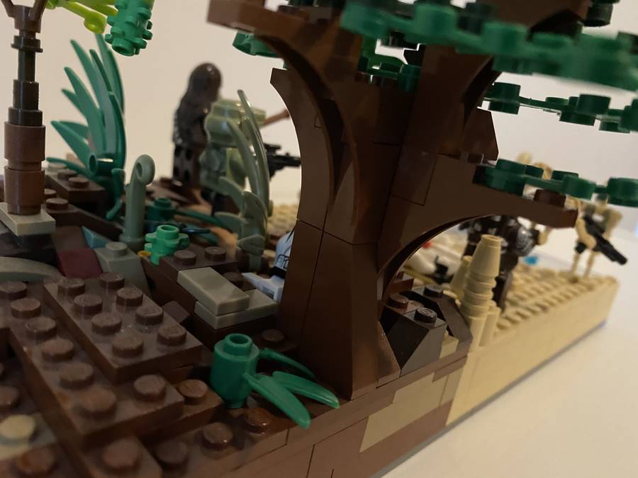 Kashyyyk