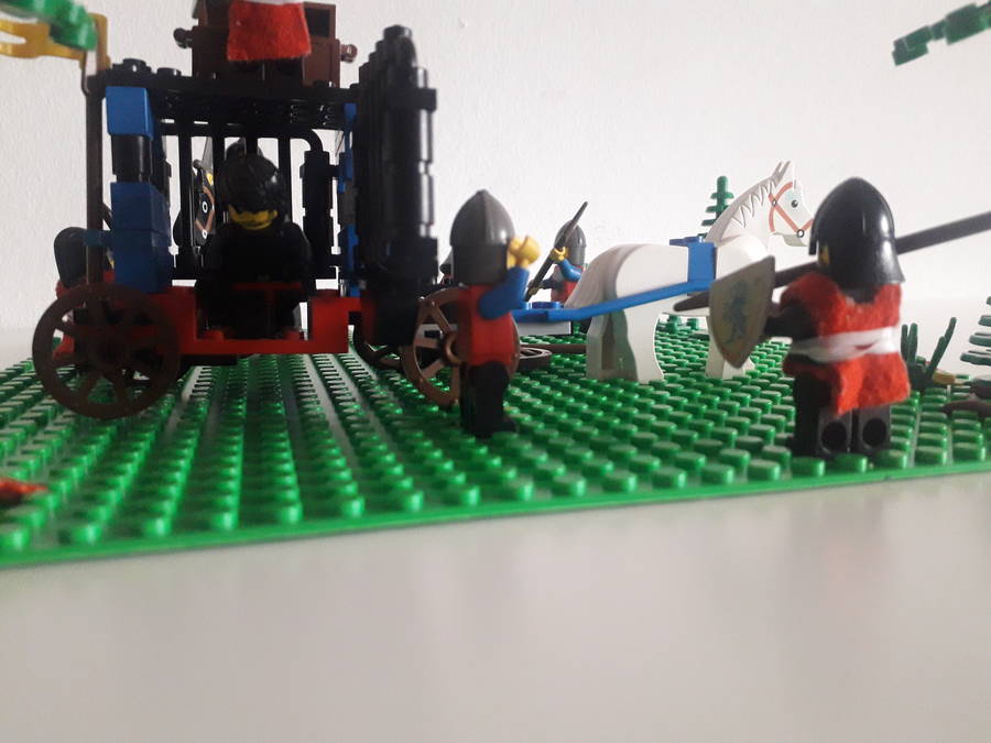 Erdei rajtaütés