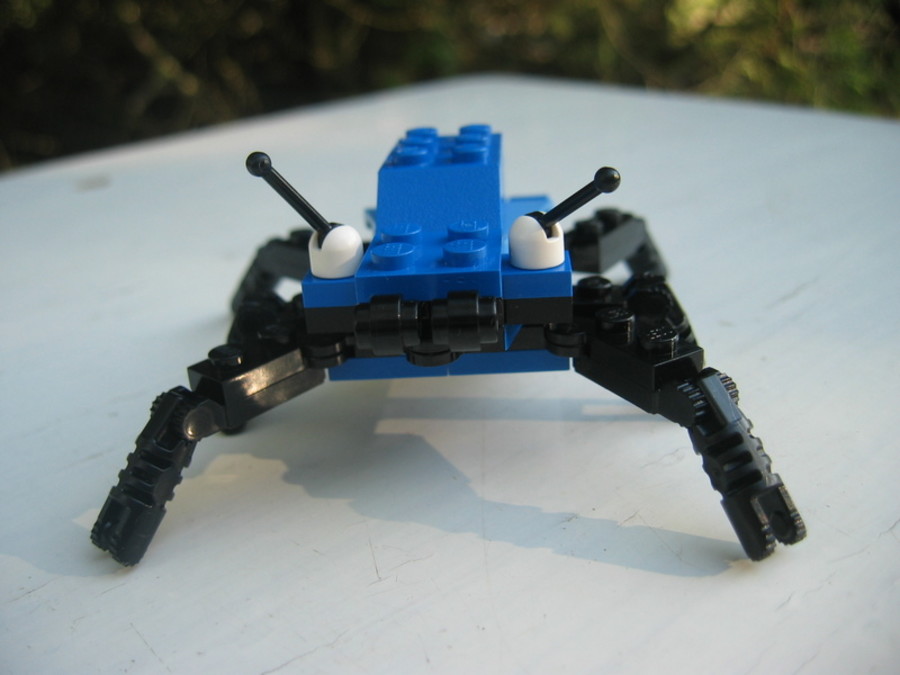 Designer Set 4401: két titkos főmodell