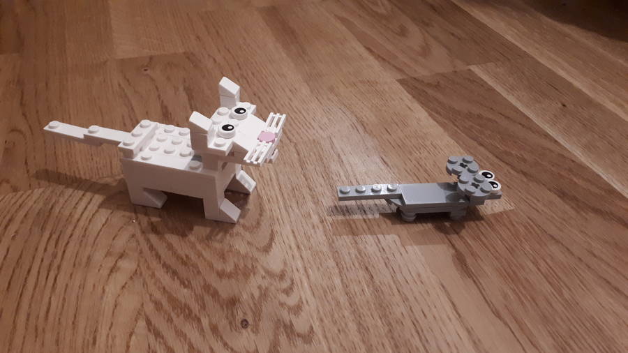 A macska még az egér