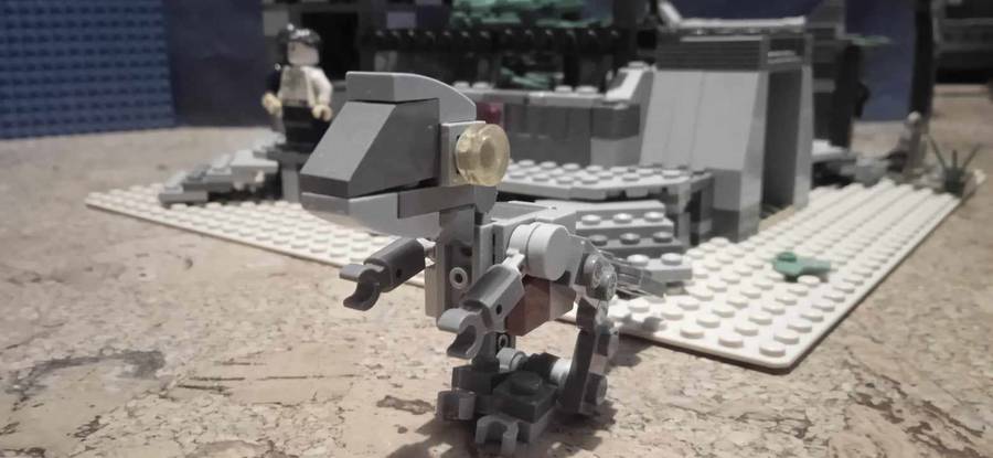 Raptor etetés 