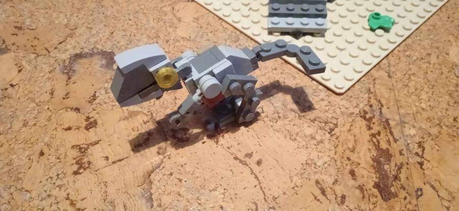 Raptor etetés 
