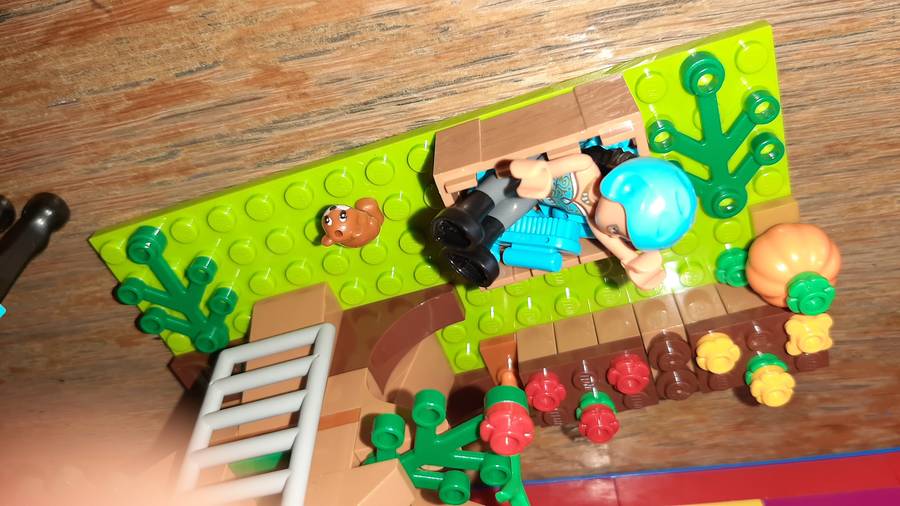 Nyaraló  negyed