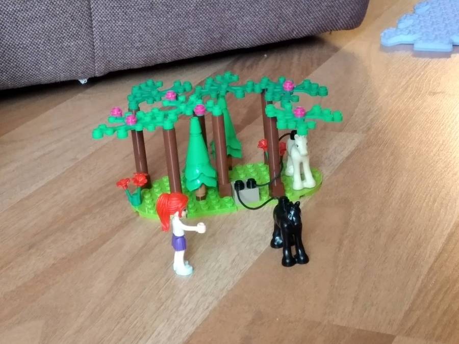 Piknik