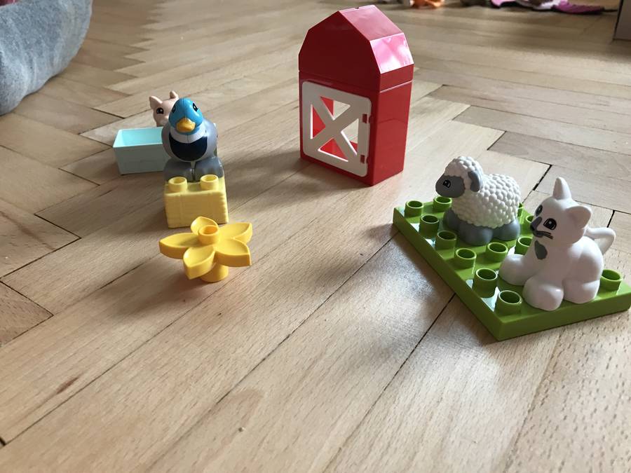 Farm