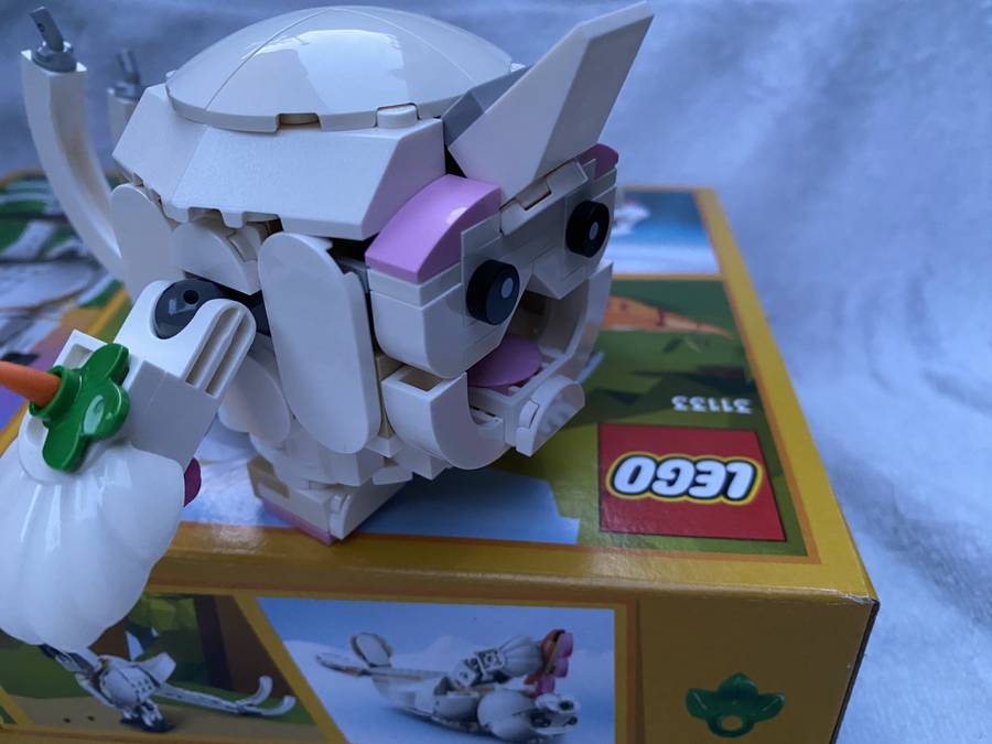 31133 Pokemon