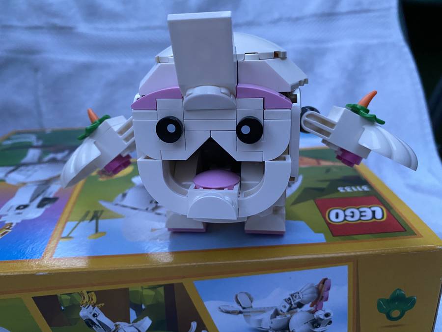 31133 Pokemon