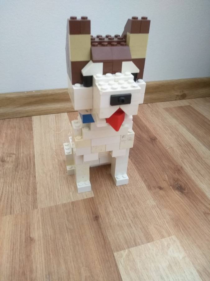 Az én kiskutyám