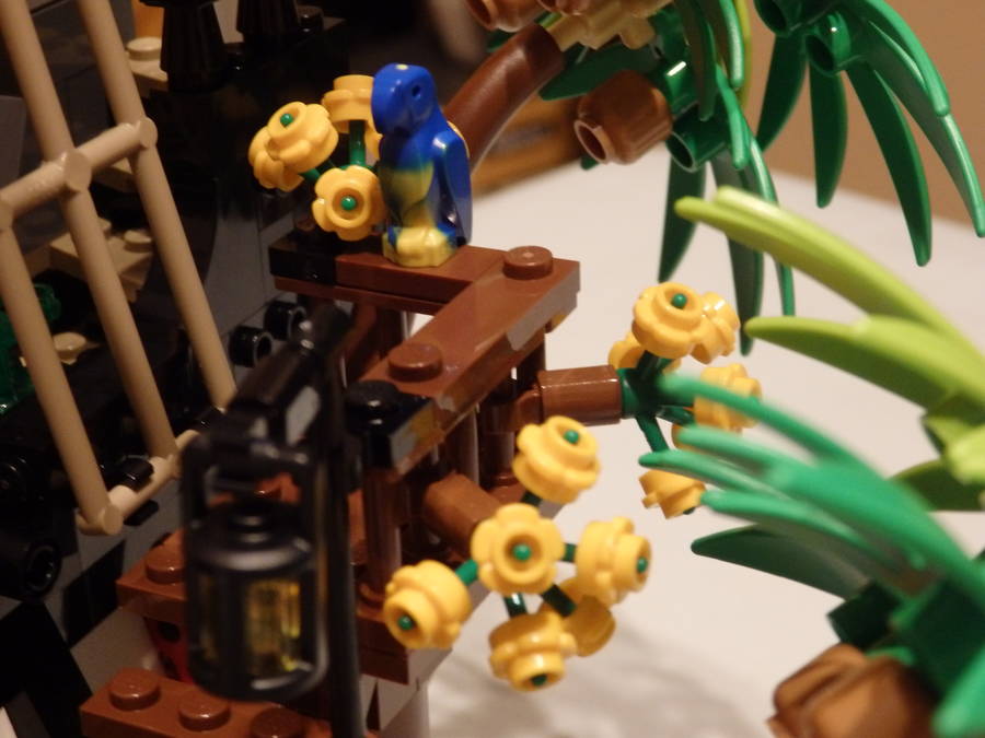 Pirates of Barracuda Bay