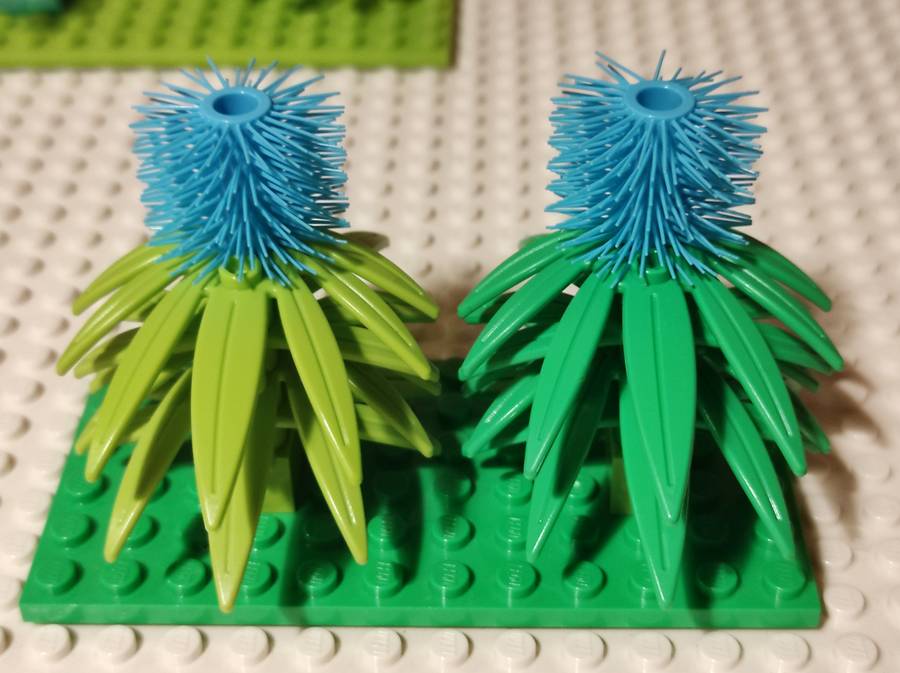 Arborétum 