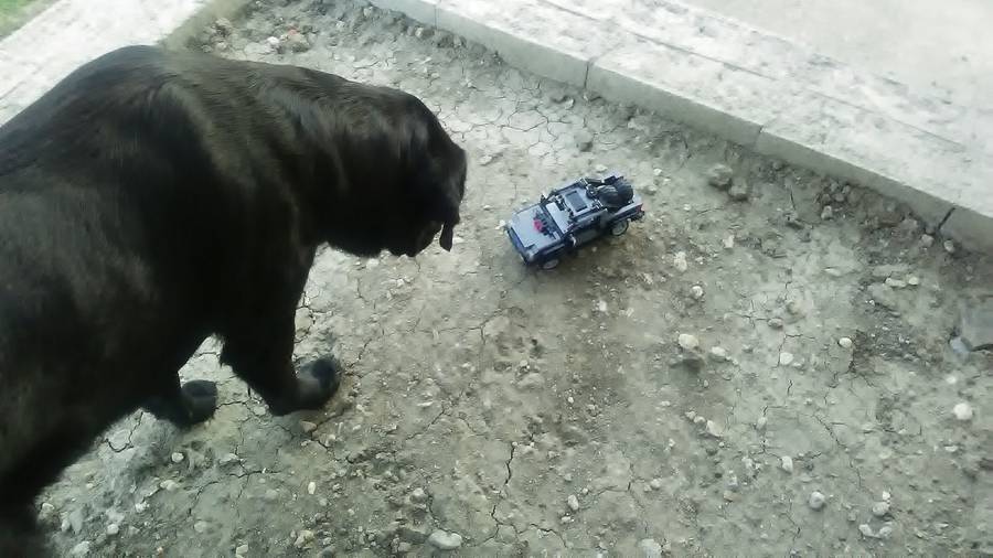 Csak egy Ford off-roader
