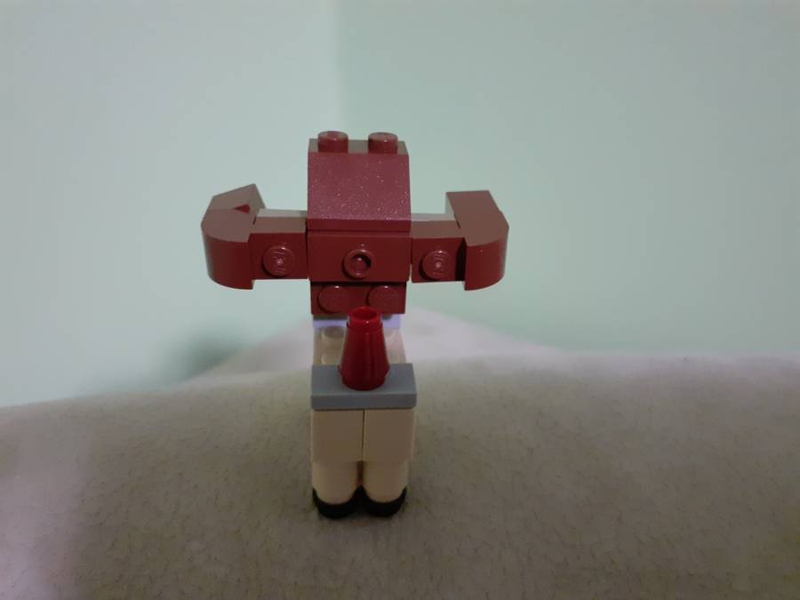 Mini Rudolf