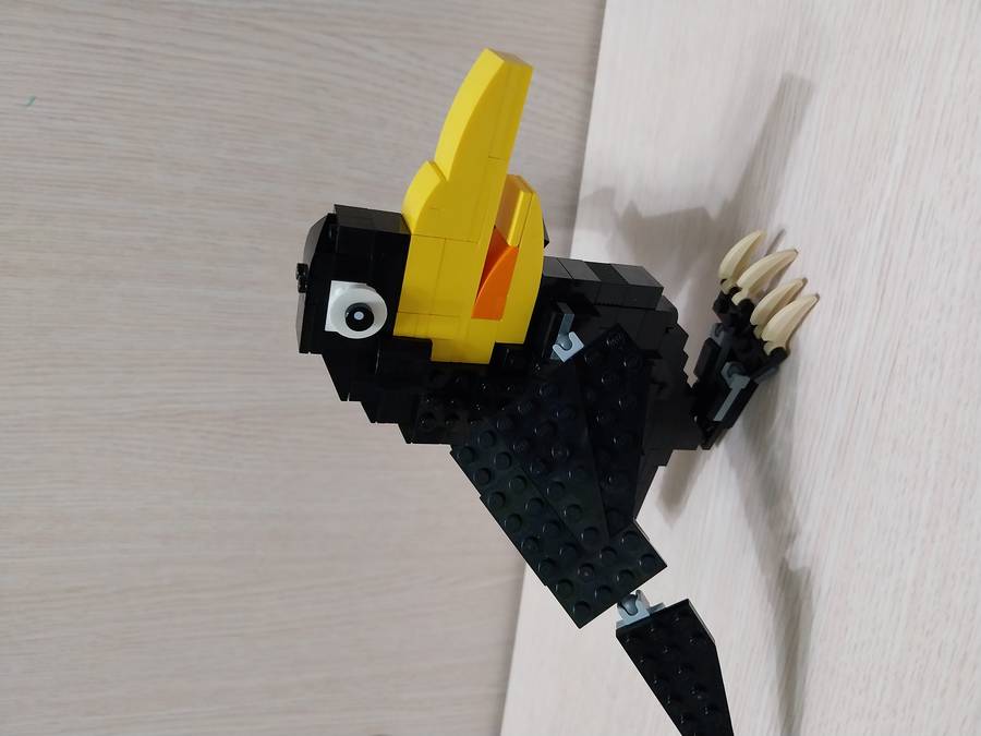 Káró, a komisz varjú