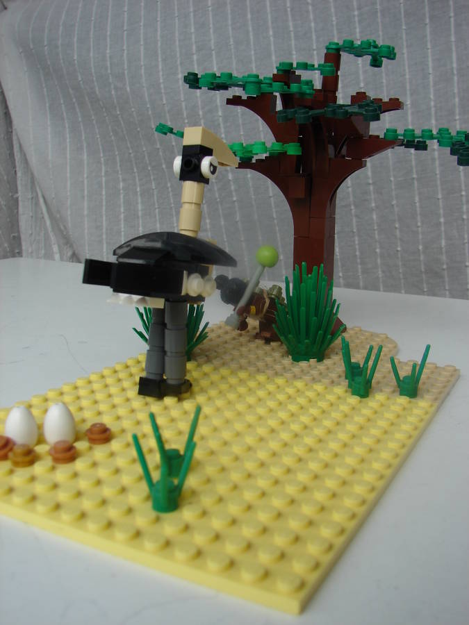 sivatagi show