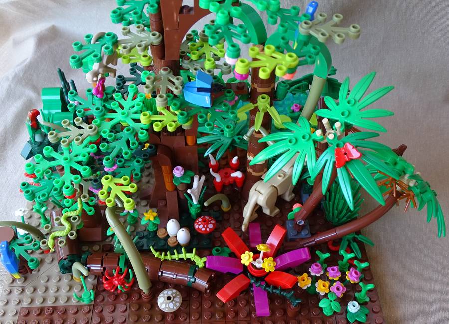 esőerdők