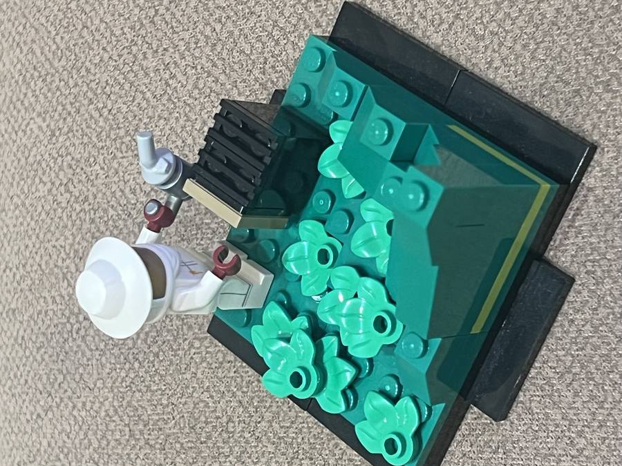 Collectible Minifigure Displays