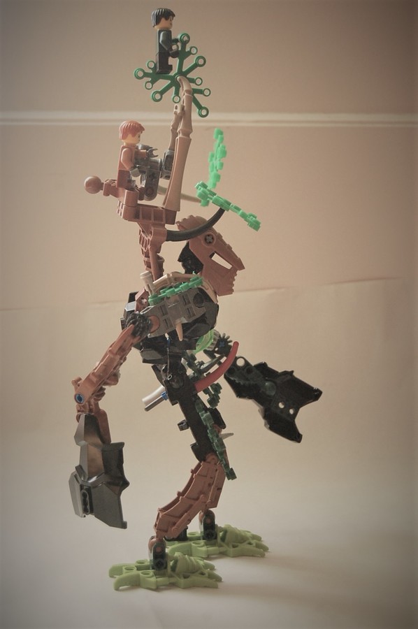 LEGO Lord of the Rimgs