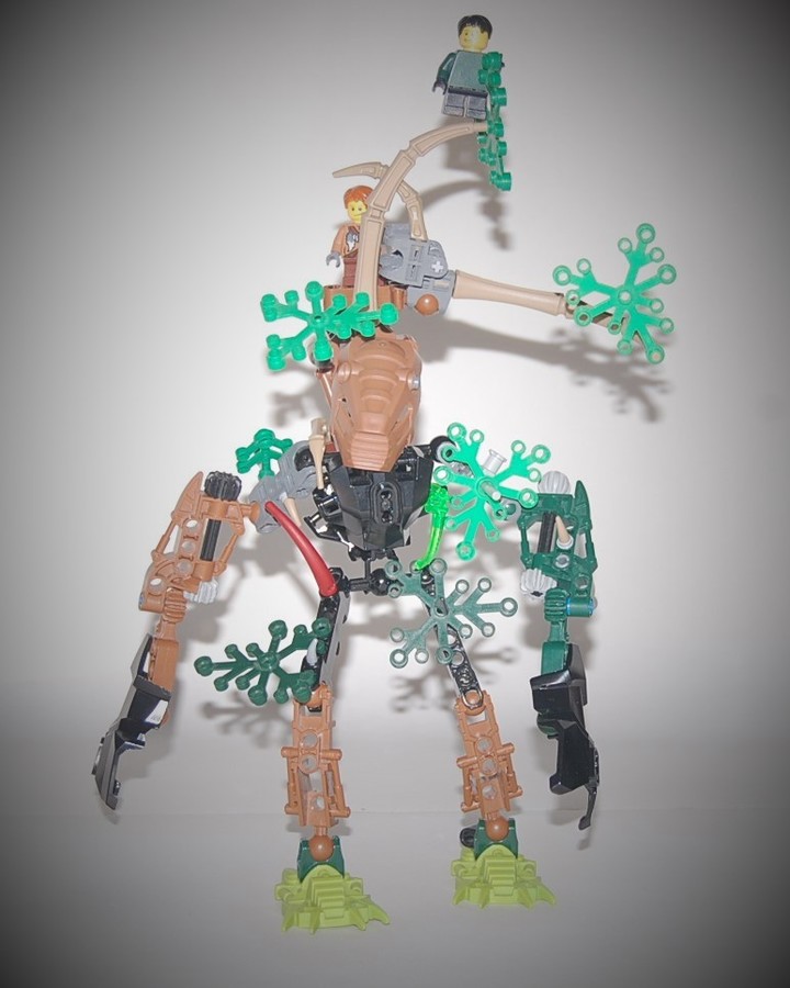 LEGO Lord of the Rimgs