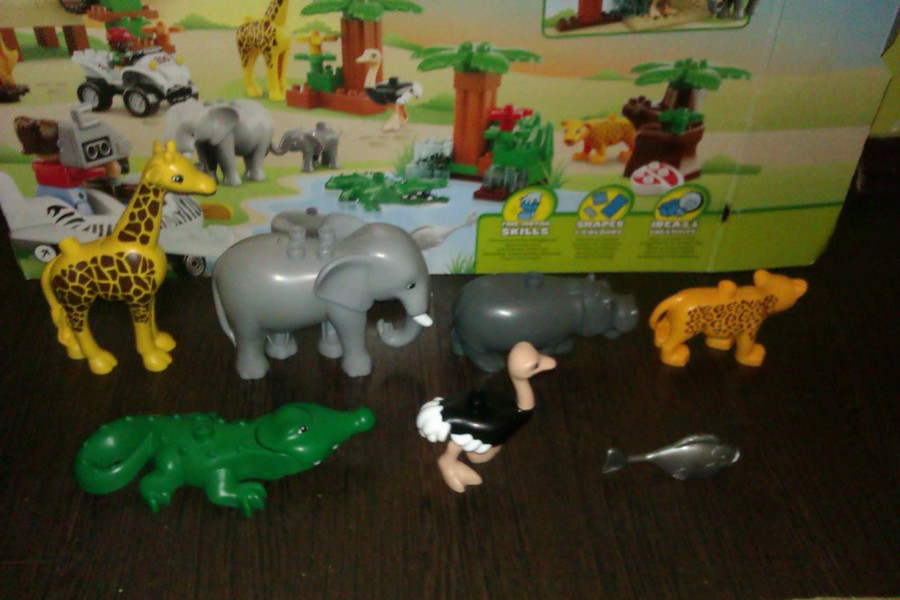 Duplo szafari