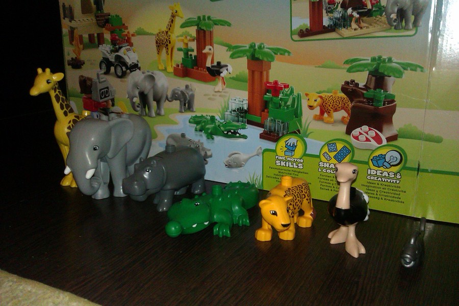 Duplo szafari