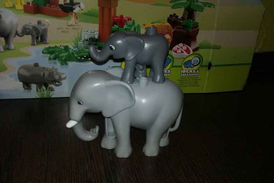 Duplo szafari