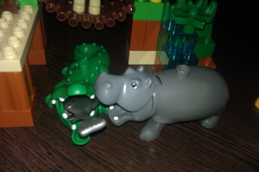 Duplo szafari