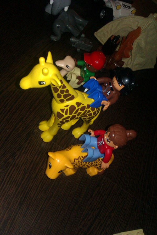 Duplo szafari