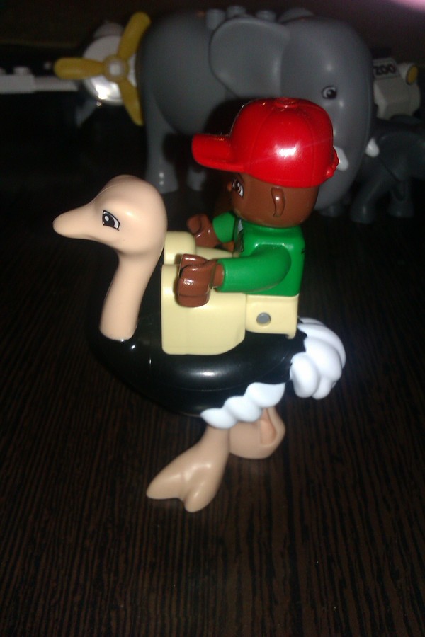 Duplo szafari